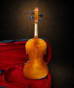 Toàn bộ mặt lưng violin Suzuki No.300 size 1/4 đặt đứng