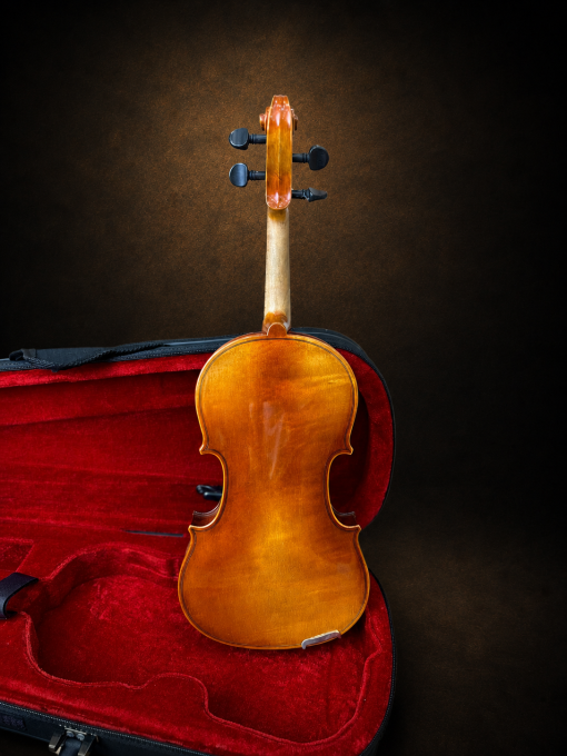 Toàn bộ mặt lưng violin Suzuki No.300 size 1/4 đặt đứng