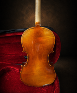 Cận cảnh vân gỗ mặt lưng violin Suzuki No.300 size 1/4