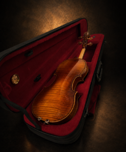 Mặt lưng violin Lamy H.Ennile Blondelel trong hộp lót nhung đỏ