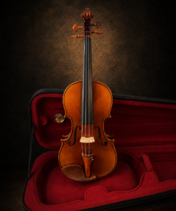 Toàn bộ mặt trước violin Lamy H.Ennile Blondelel đặt đứng