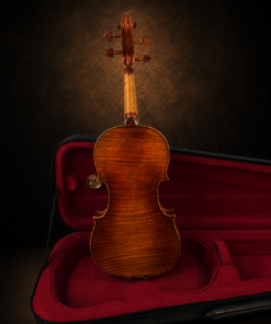 Toàn bộ mặt lưng violin Lamy H.Ennile Blondelel đặt đứng