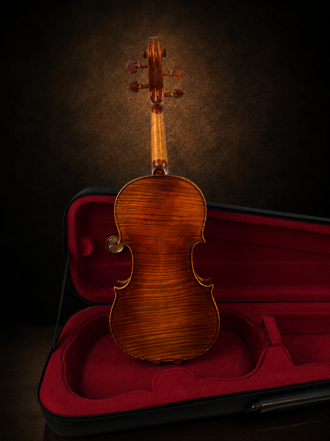 Toàn bộ mặt lưng violin Lamy H.Ennile Blondelel đặt đứng
