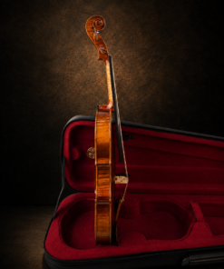 Góc nghiêng hông đối diện của violin Lamy H.Ennile Blondelel