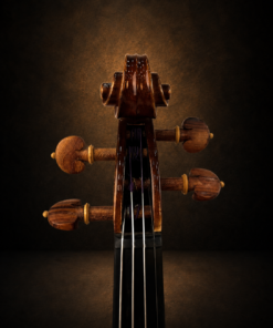Hộp chốt violin Lamy H.Ennile Blondelel nhìn từ phía trước
