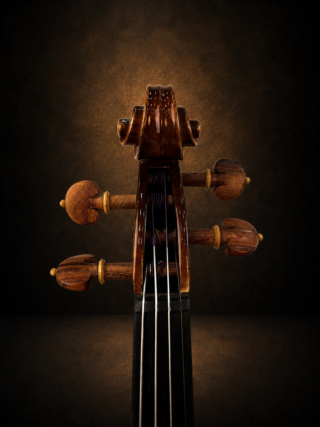 Hộp chốt violin Lamy H.Ennile Blondelel nhìn từ phía trước