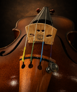 Cận cảnh ngựa đàn và dây đàn của violin Lamy H.Ennile Blondelel