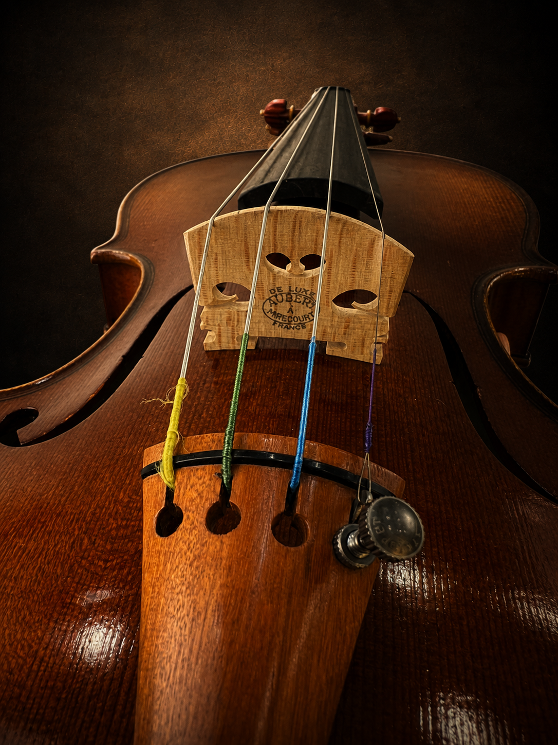 Cận cảnh ngựa đàn và dây đàn của violin Lamy H.Ennile Blondelel