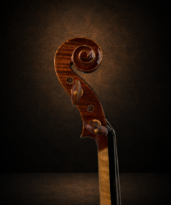 Đầu cuộn và chốt lên dây violin Lamy H.Ennile Blondelel nhìn nghiêng