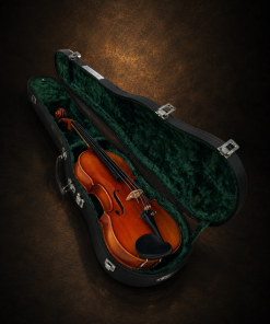 Mặt trước violin Suzuki No.280 size 4/4 trong hộp lót nhung xanh