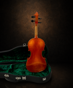 Toàn bộ mặt lưng violin Suzuki No.280 size 4/4 đặt đứng