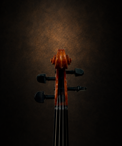 Hộp chốt violin Suzuki No.360 size 4/4 nhìn từ phía trước