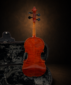 Toàn bộ mặt lưng violin Suzuki No.500 size 4/4 đặt đứng