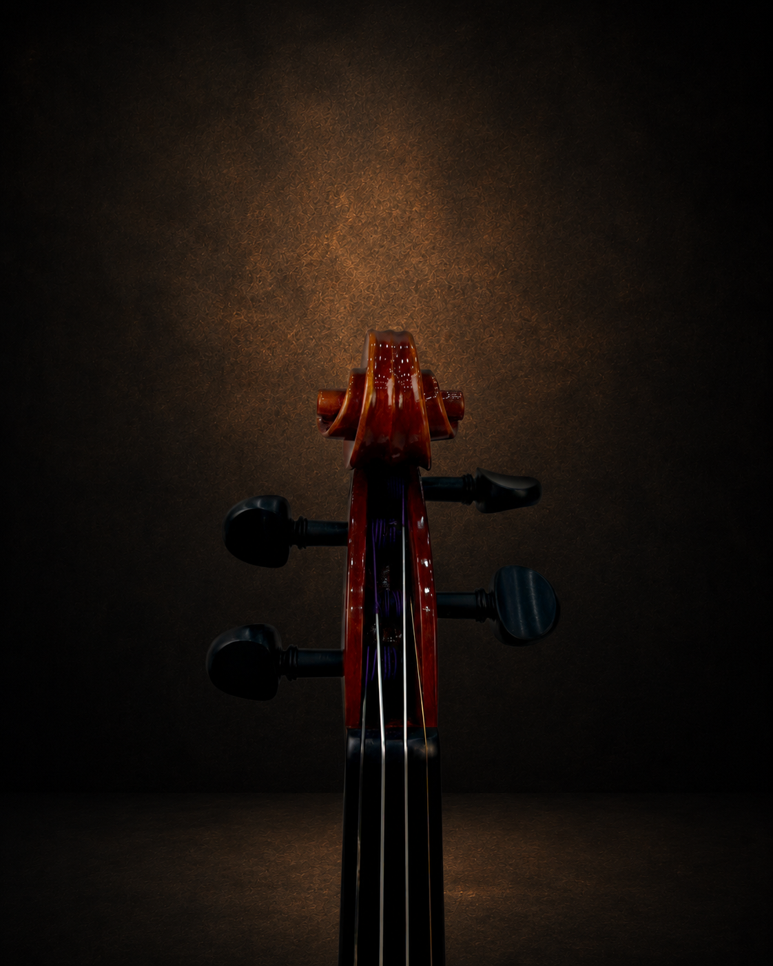 Hộp chốt violin Suzuki No.500 size 4/4 nhìn từ phía trước