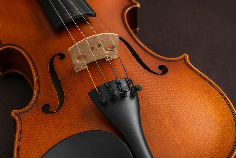 Chi tiết Violin Suzuki No.300 size 1/4 với ngựa và khóa tinh chỉnh