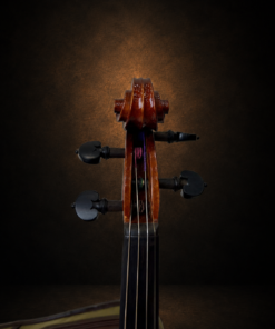Hộp chốt và bàn phím violin Georges Apparut nhìn từ phía trước