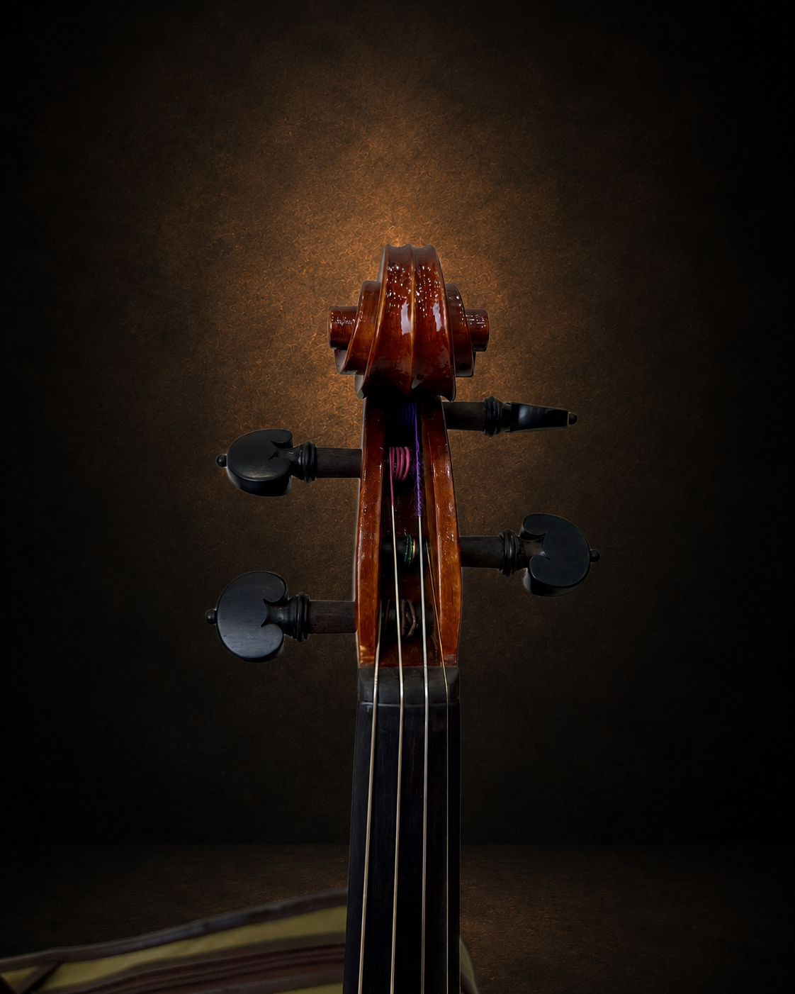 Hộp chốt và bàn phím violin Georges Apparut nhìn từ phía trước