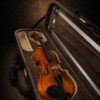 Chi tiết mặt spruce ngựa đàn và fittings Violin Luthès Andante Paris 2006
