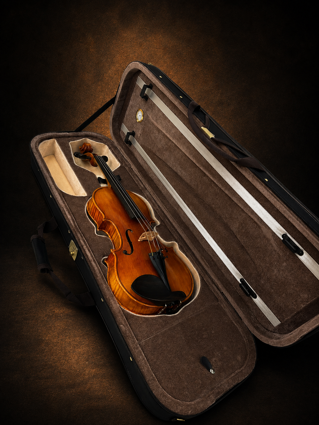Mặt trước violin Luthès Andante Paris size 4/4 nằm trong hộp mở