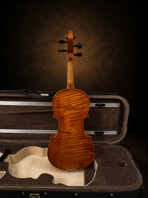 Mặt lưng và vân gỗ violin Luthès Andante size 4/4 nhìn từ phía sau.