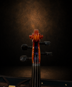 Hộp chốt và bàn phím violin Luthès Andante Paris nhìn từ phía trước