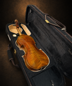 Mặt lưng violin Adam Schmidt size 4/4 nằm trong hộp mở