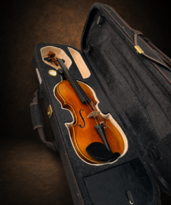 Chi tiết ngựa đàn và lỗ f Violin Adam Schmidt sản xuất 2019 size 4/4