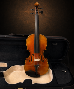 Violin Adam Schmidt sản xuất 2019 size 4/4 mặt trước trên nền dark luxury