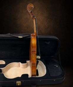 Góc nghiêng hông đối diện của violin Adam Schmidt