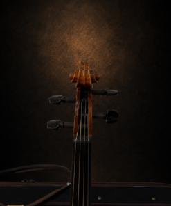 Hộp chốt violin Adam Schmidt nhìn từ phía trước