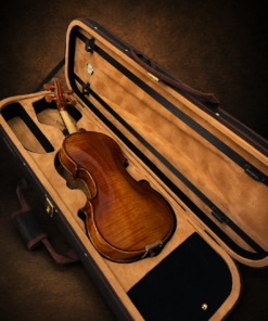 Mặt lưng và vân gỗ violin Heinrich Gill nằm trong hộp