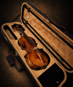 Mặt trước violin Heinrich Gill size 4/4 nằm trong hộp mở