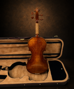 Lưng và đầu cuộn Violin Đức Heinrich Gill size 4/4 sản xuất 2012