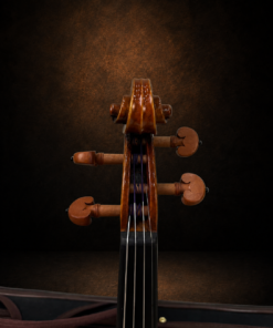Hộp chốt violin Heinrich Gill nhìn từ phía trước
