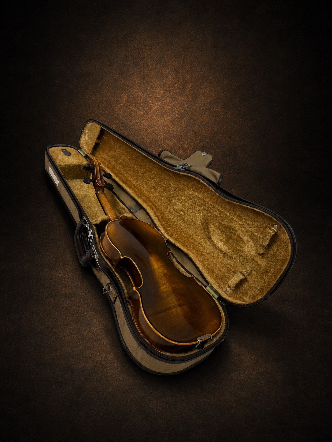 Mặt lưng violin Karl Höfner size 4/4 nằm trong hộp mở