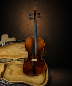 Toàn bộ mặt trước violin Karl Höfner size 4/4 đặt đứng