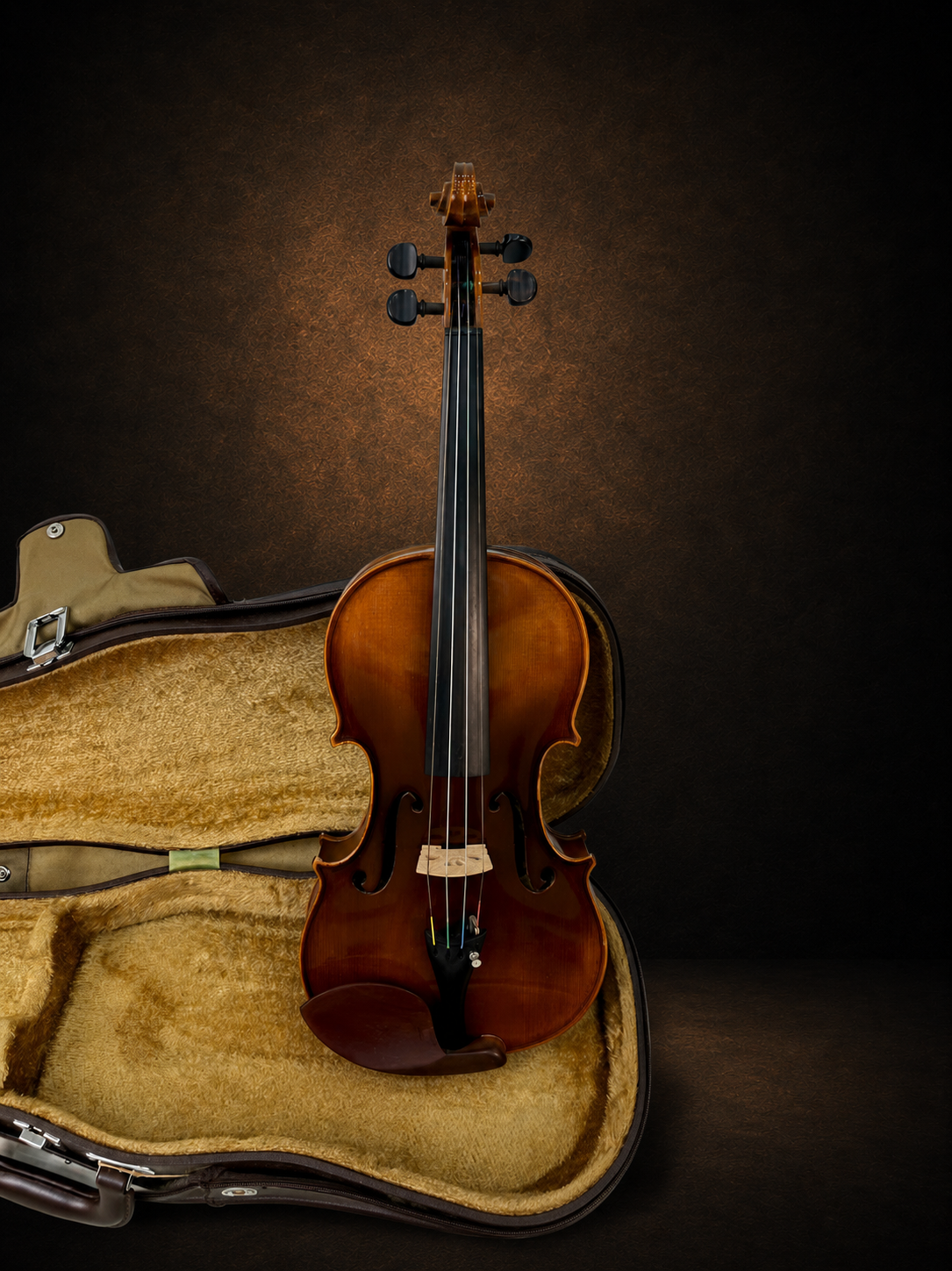 Toàn bộ mặt trước violin Karl Höfner size 4/4 đặt đứng