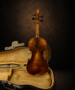Toàn bộ mặt lưng và cần violin Karl Höfner đặt đứng
