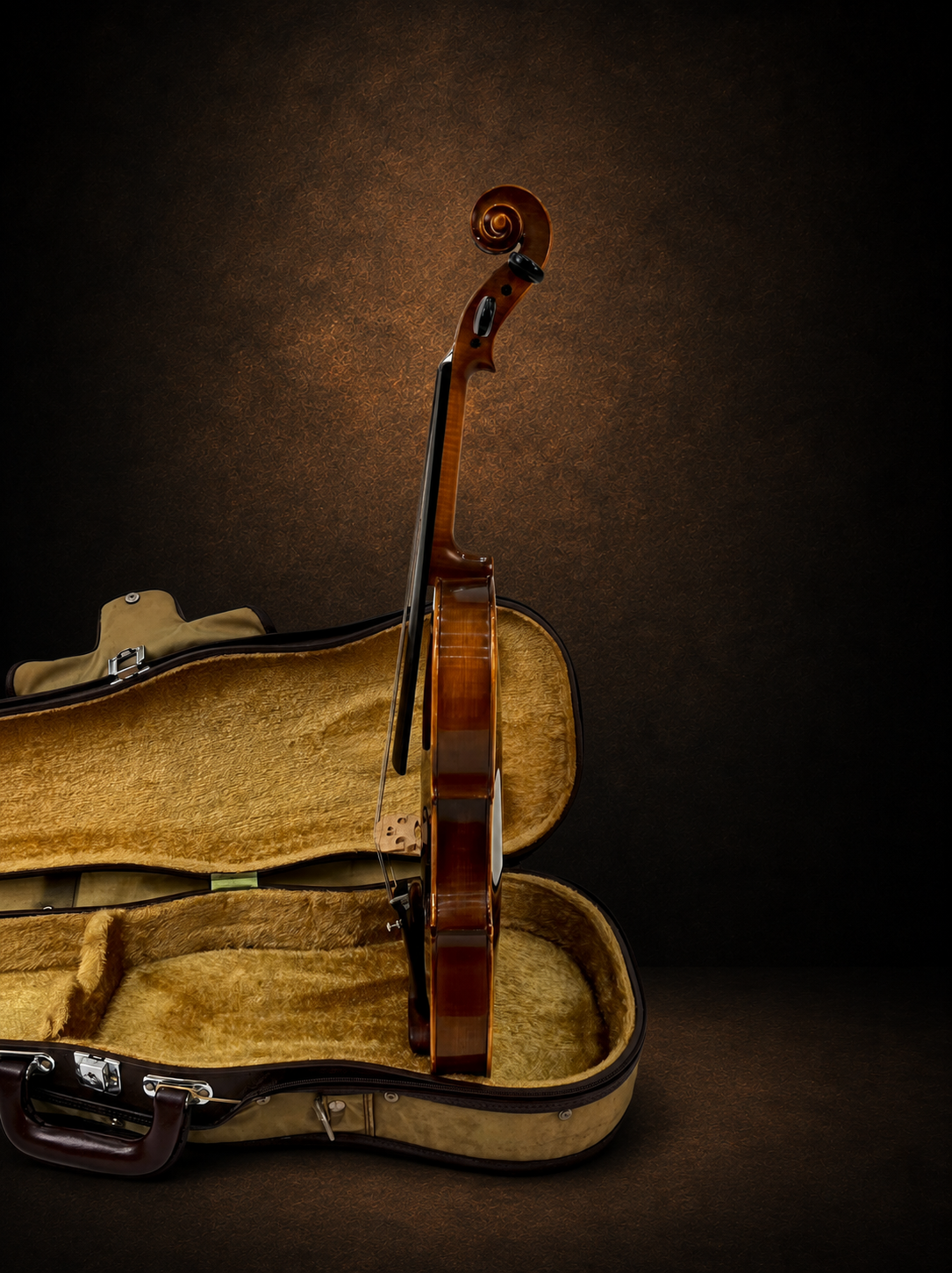 Góc nghiêng hông violin Karl Höfner, mặt đàn hướng sang trái