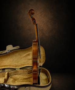 Góc nghiêng hông đối diện của violin Karl Höfner