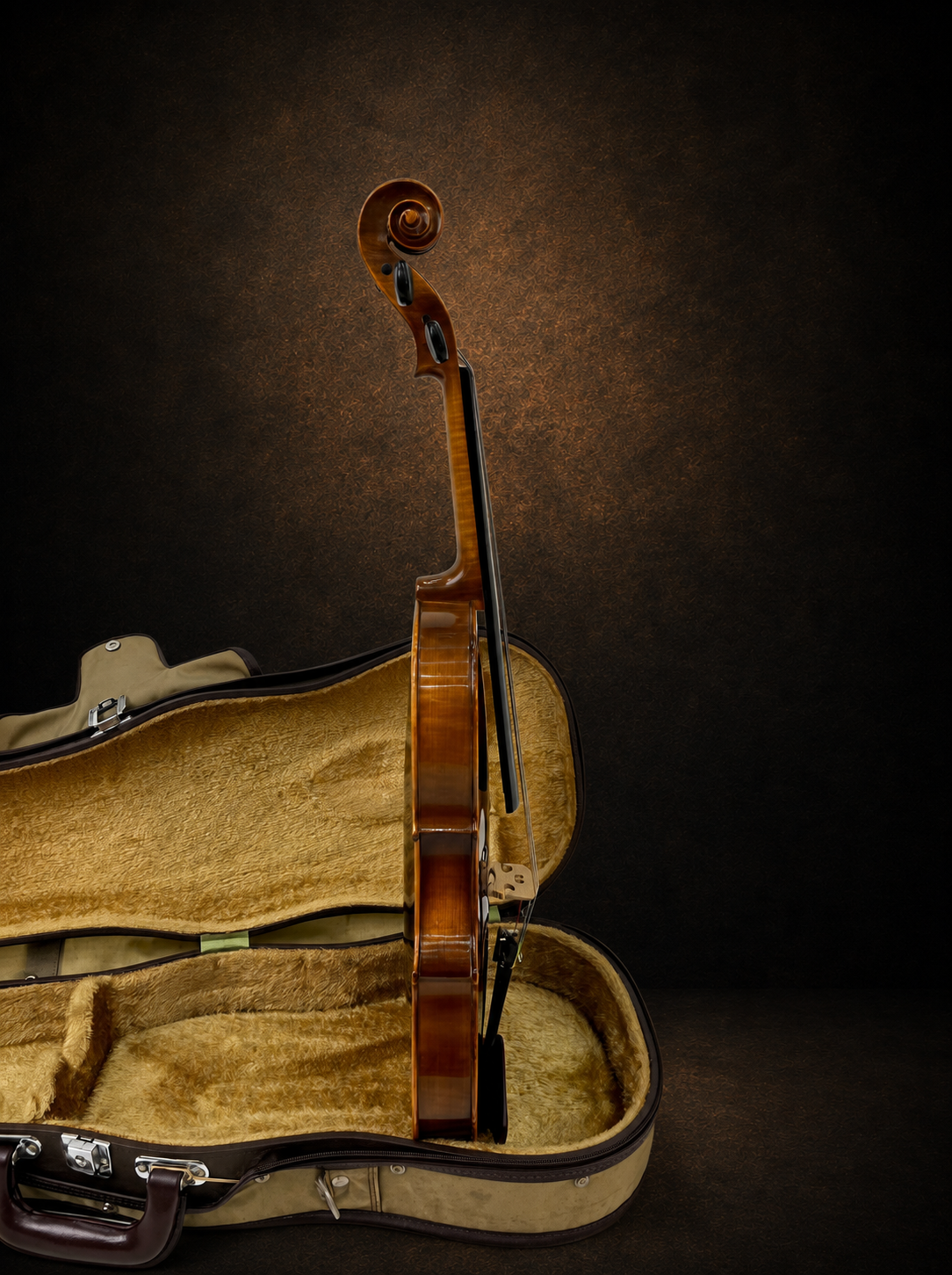 Góc nghiêng hông đối diện của violin Karl Höfner