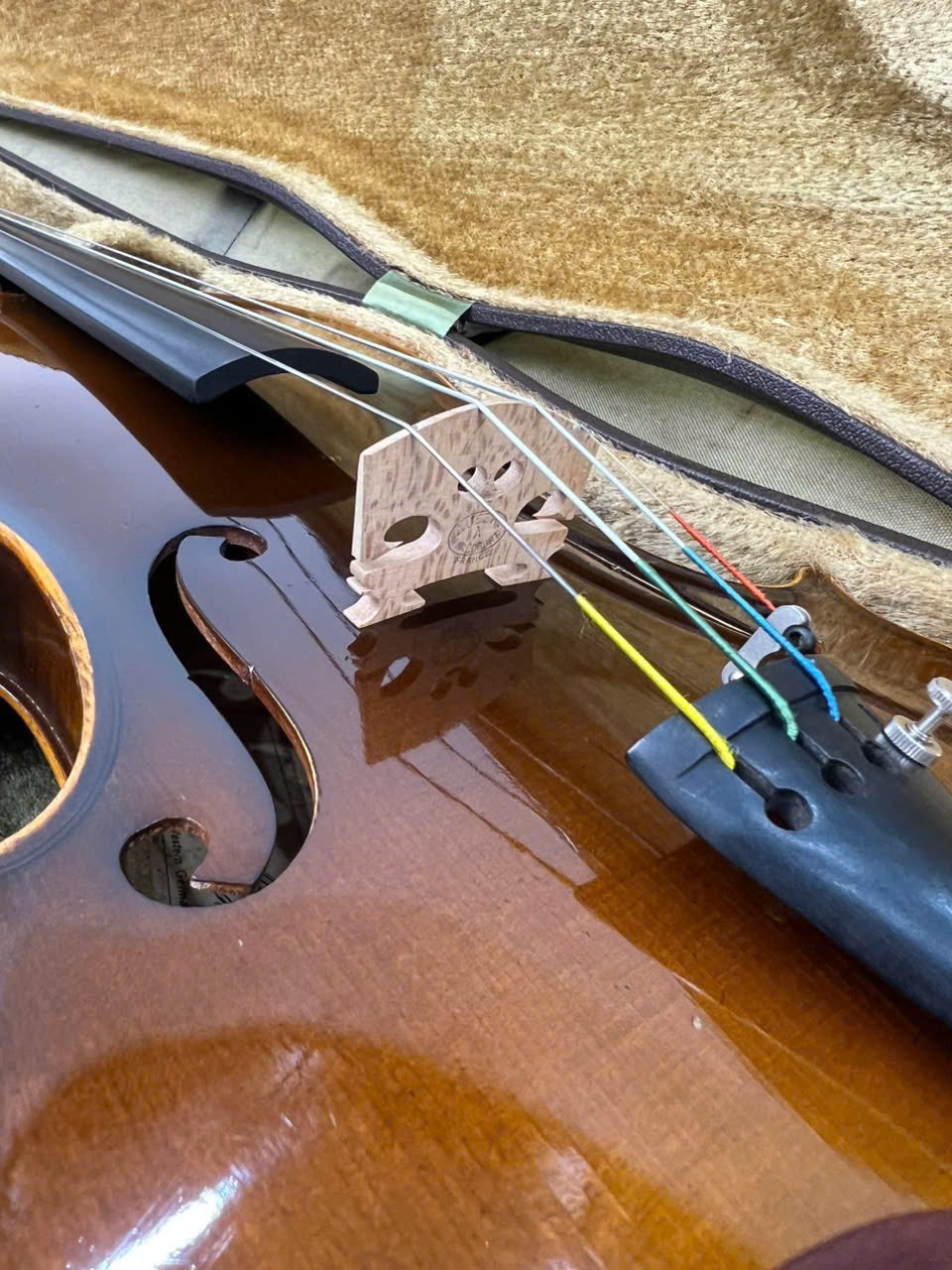Cận cảnh ngựa đàn, dây đàn và lỗ thoát âm violin Karl Höfner