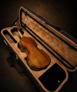 Mặt lưng và vân gỗ violin Otto Muller nằm trong hộp