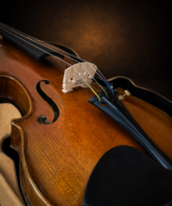Chi tiết ngựa và lỗ f Violin Đức Otto Muller 2020 size 4/4