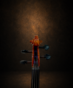 Hộp chốt violin Otto Muller nhìn từ phía trước
