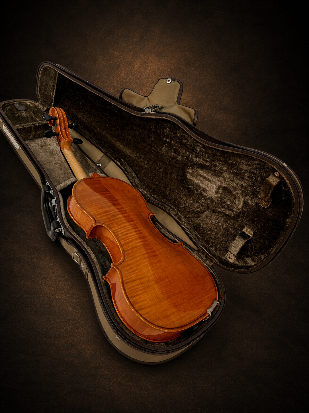 Mặt lưng violin Suzuki No.330 size 4/4 nằm trong hộp mở