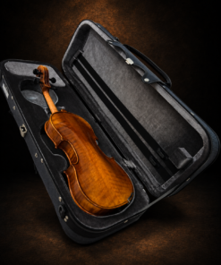 Mặt lưng violin Yamaha V7G size 4/4 nằm trong hộp mở