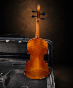 Lưng maple của Violin Yamaha V7G Size 4/4