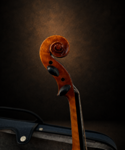 Đầu cuộn và chốt lên dây violin Yamaha V7G nhìn nghiêng