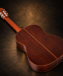 Guitar Fernandes GC-40 – nhìn nghiêng mặt lưng và cần đàn